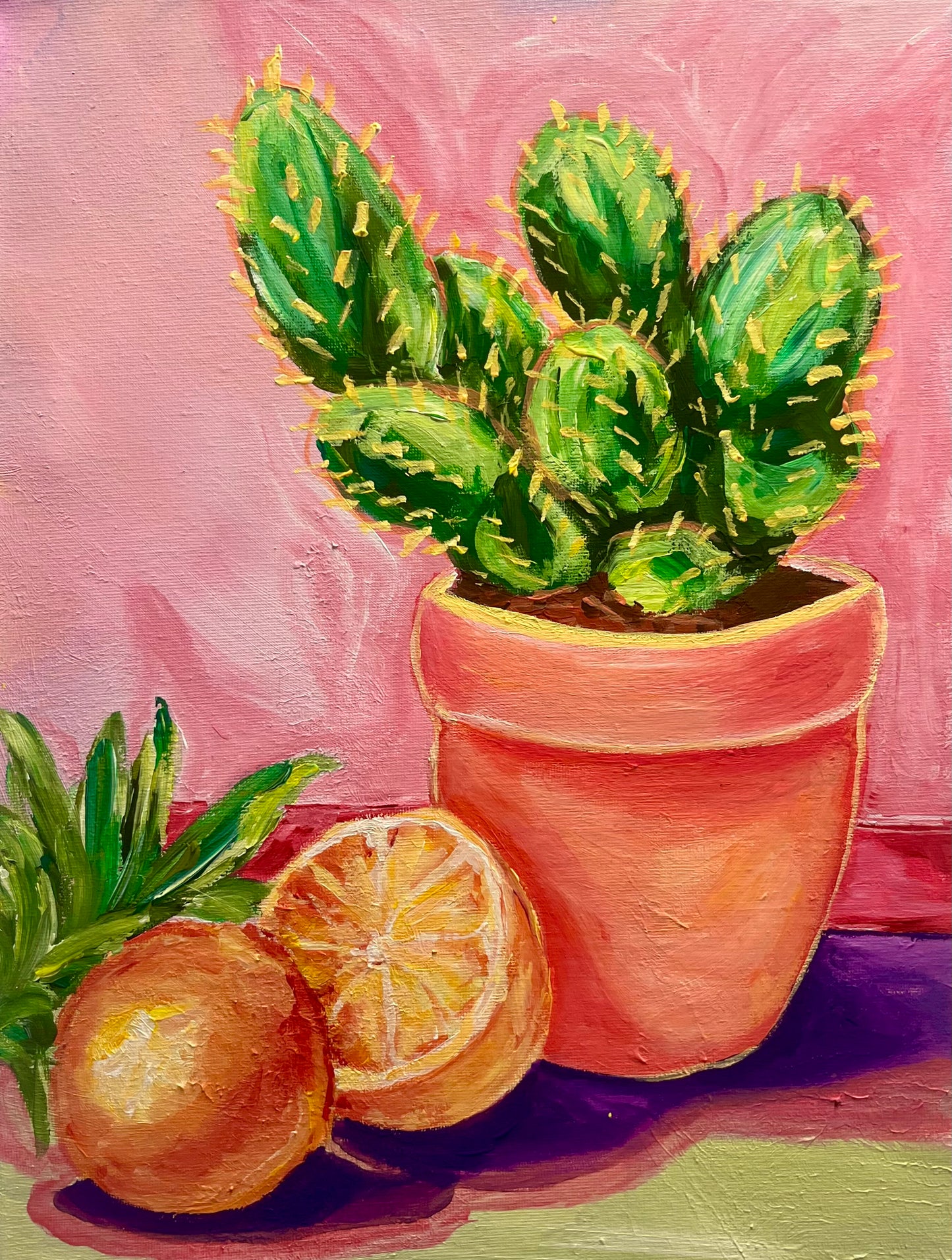 Cacti Paint and Sip Friday 19 June 7pm